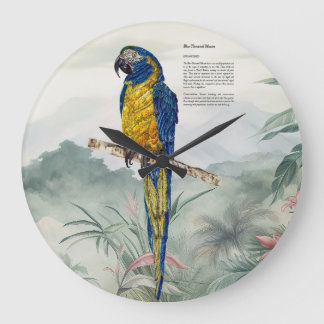 Schöne, von der Natur inspirierte gefährdete Ara Große Wanduhr