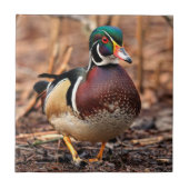 Schöne Wald-Ente im Wald Fliese (Vorderseite)