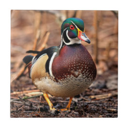 Schöne Wald-Ente im Wald Fliese