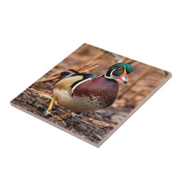 Schöne Wald-Ente im Wald Fliese