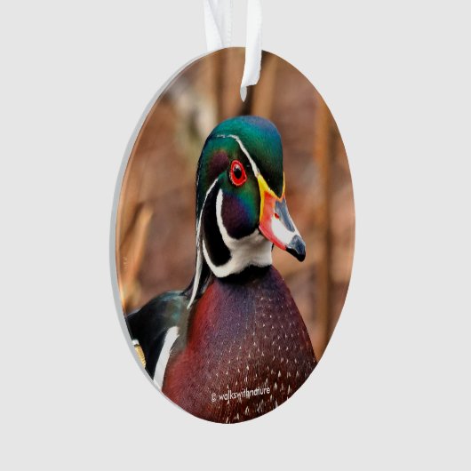Schöne Wald-Ente im Wald Ornament (Vorderseite)