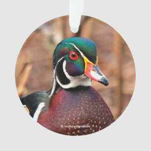Schöne Wald-Ente im Wald Ornament