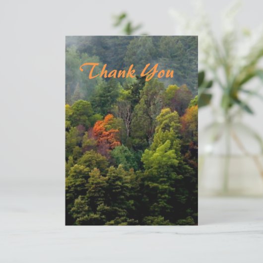 Schöne Wälder Dankeskarte (Stehend Vorderseite)