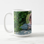 Schöne Waldschablone Foto Sonnenlichtbäume Fotovor Kaffeetasse (Links)