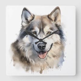 SCHÖNE WASSERCOLOR ALASKAN MALAMUTE DOG QUADRATISCHE WANDUHR