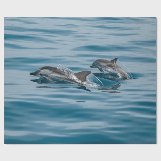 Schöne Wasserdelfine Geschenkpapier (Flach)