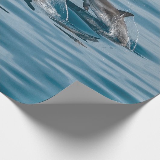 Schöne Wasserdelfine Geschenkpapier (Ecke)