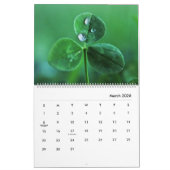 Schöne Wasserfälle der Natur auf Blume Fotografie Kalender (Mär 2026)