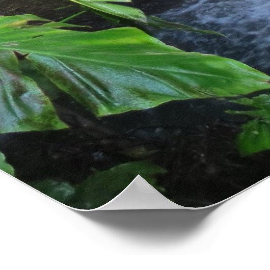 Schöne Wasserfälle im Regenwald Poster (Ecke)