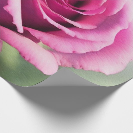 Schöne Wasserfarbe Rosa Rose Moderne Sammlung Geschenkpapier (Ecke)