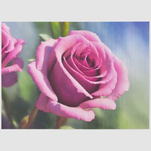 Schöne Wasserfarbe Rosa Rose Moderne Sammlung Seidenpapier (Vorderseite)