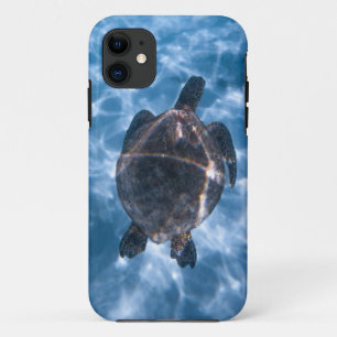 Schöne Wasserschildkröte   Bestes Geschenk für das Case-Mate iPhone Hülle
