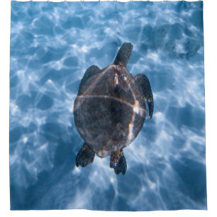 Schöne Wasserschildkröte Bestes Geschenk für das Duschvorhang