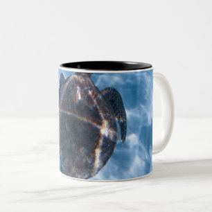 Schöne Wasserschildkröte Bestes Geschenk für das Zweifarbige Tasse