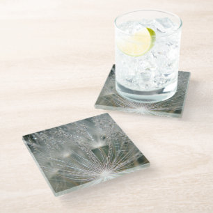 Schöne Wassertröpfchen Glasuntersetzer