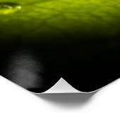 Schöne Wassertropfen nach Regen auf einem Blatt Poster (Ecke)