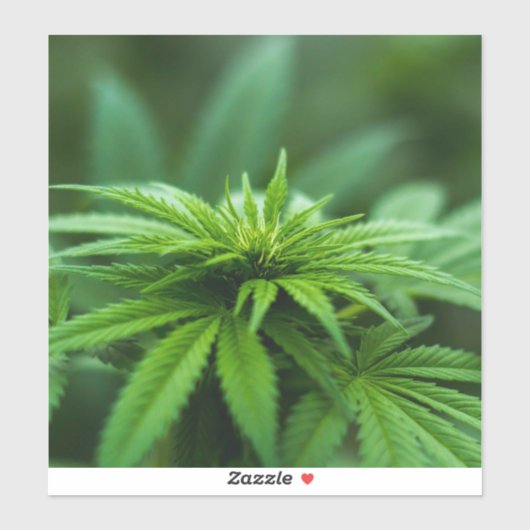 Schöne Weed Aufkleber (Blatt)