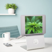 Schöne Weed Aufkleber (Laptop auf Schreibtisch)