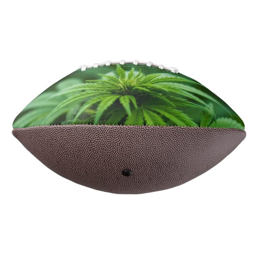 Schöne Weed Football (Gedreht 270)
