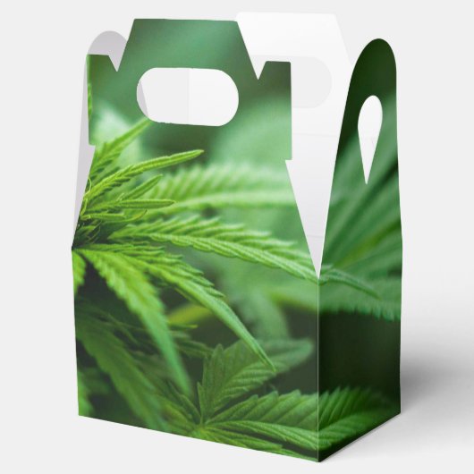 Schöne Weed Geschenkschachtel (Geöffnet)