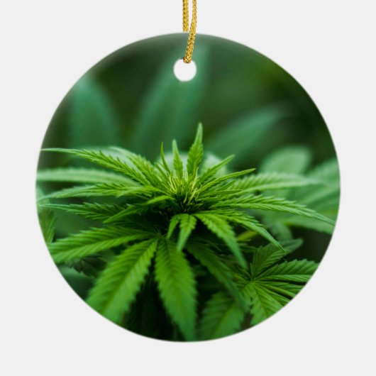 Schöne Weed Keramik Ornament (Vorne)