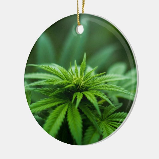 Schöne Weed Keramik Ornament (Links)