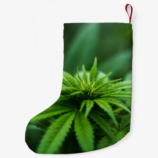 Schöne Weed Kleiner Weihnachtsstrumpf (Rückseite)