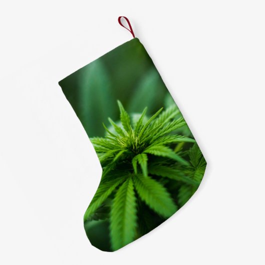 Schöne Weed Kleiner Weihnachtsstrumpf (Rückseite (Hängend))