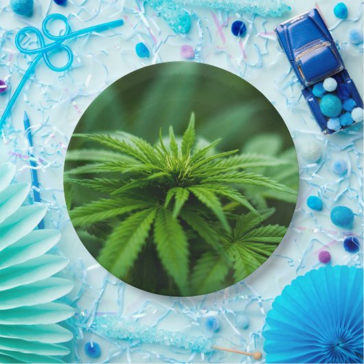 Schöne Weed Pappteller (Party)
