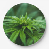 Schöne Weed Pappteller (Vorderseite)