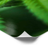 Schöne Weed Poster (Ecke)