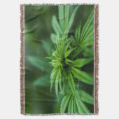 Schöne Weh-Pflanze Decke (Vorderseite Vertikal)