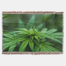 Schöne Weh-Pflanze Decke