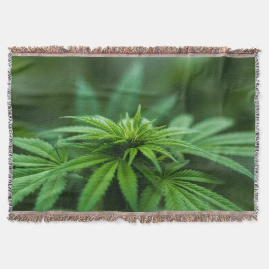 Schöne Weh-Pflanze Decke (Vorderseite)