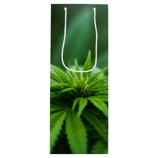 Schöne Weh-Pflanze Geschenktüte Für Weinflaschen (Vorderseite)