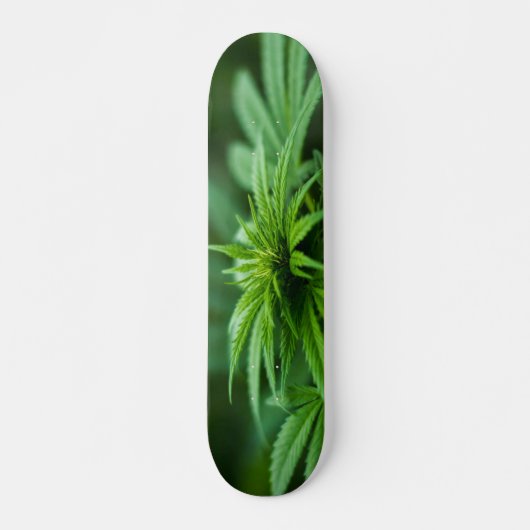 Schöne Weh-Pflanze Skateboard (Vorne)