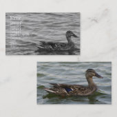 Schöne weibliche Stockenten-Ente Visitenkarte (Vorne/Hinten)