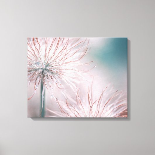 Schöne weich rosa Delikate Blume Leinwanddruck (Vorderseite)