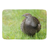 Schöne, weiche Grouse im Gras Badematte (Vorderseite)