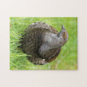 Schöne, weiche Grouse im Gras Puzzle (Horizontal)
