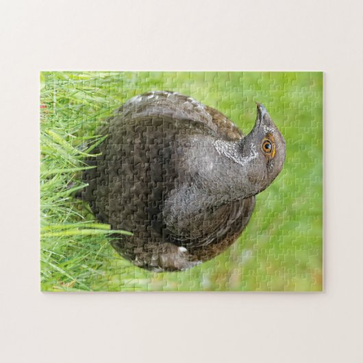 Schöne, weiche Grouse im Gras Puzzle (Horizontal)