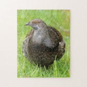 Schöne, weiche Grouse im Gras Puzzle (Vertikal)