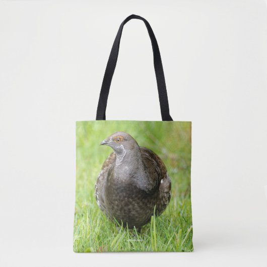 Schöne, weiche Grouse im Gras Tasche (Vorderseite)