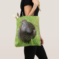 Schöne, weiche Grouse im Gras