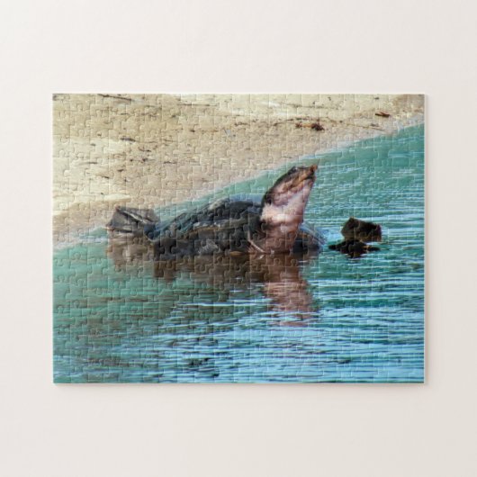 Schöne weiche Muschel Schildkröte am Strand Puzzle (Horizontal)