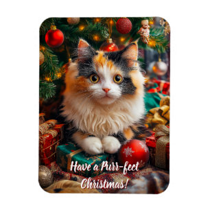 Schöne Weihnachten! Magnet