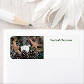 Schöne Weihnachtsdekorationen (Insitu)