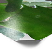 Schöne Weihnachtskaktus Bloom Fotodruck (Ecke)