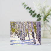 Schöne Weihnachtskarte für den Schneeberg Postkarte (Stehend Vorderseite)