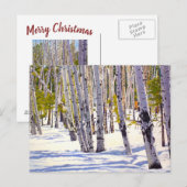 Schöne Weihnachtskarte für den Schneeberg Postkarte (Vorne/Hinten)